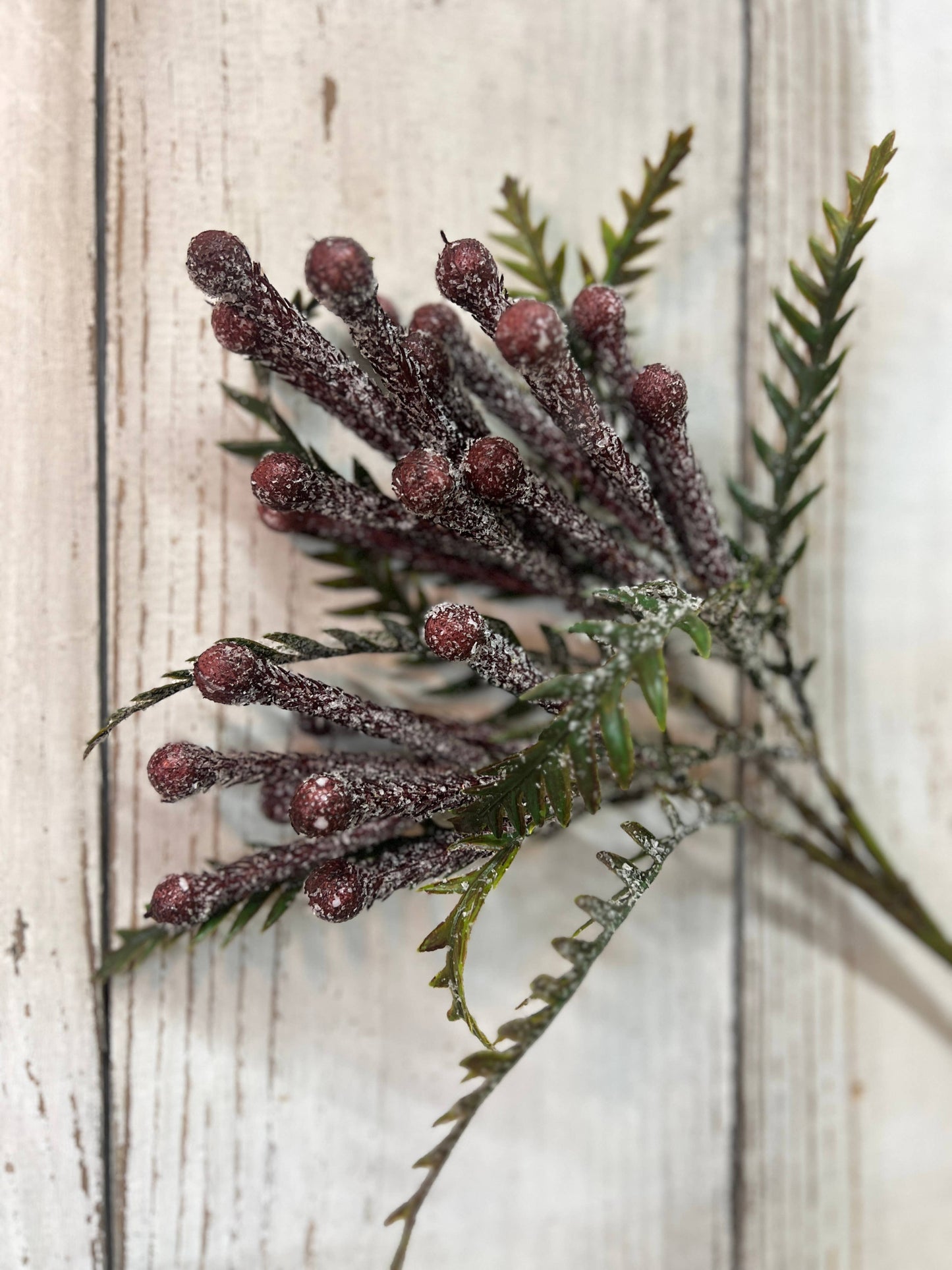 Frosty Berry Bunch