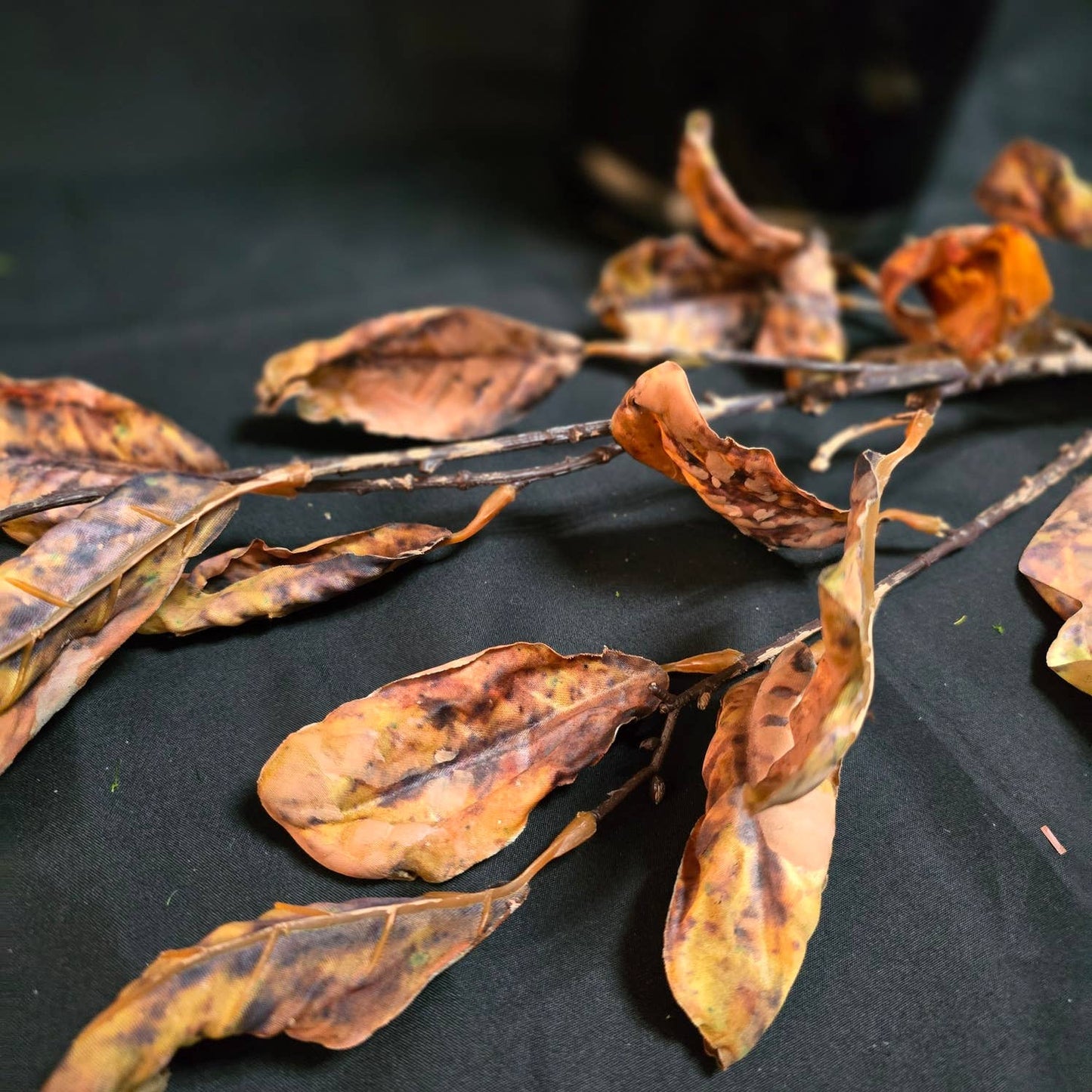Fall Leaves Stem