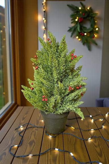 Small Evergreen Berry Pot 17in