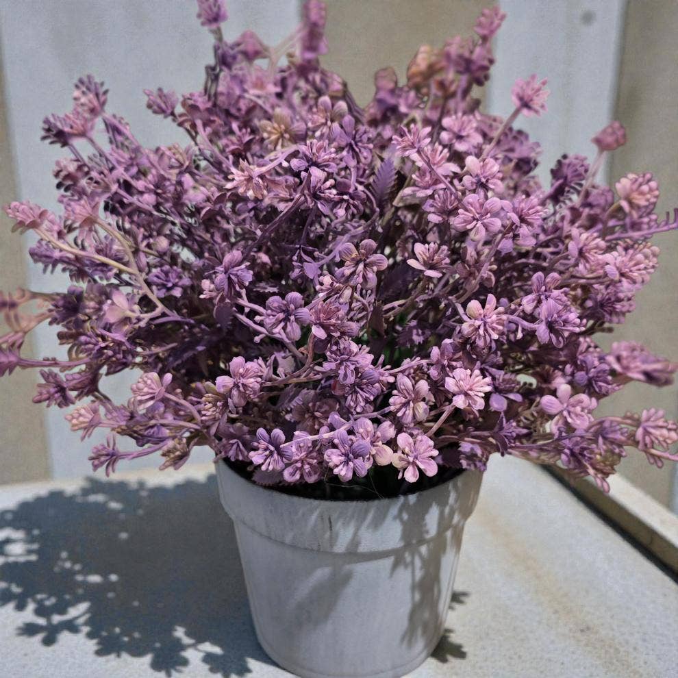 Springtime Lavender Pot 10in