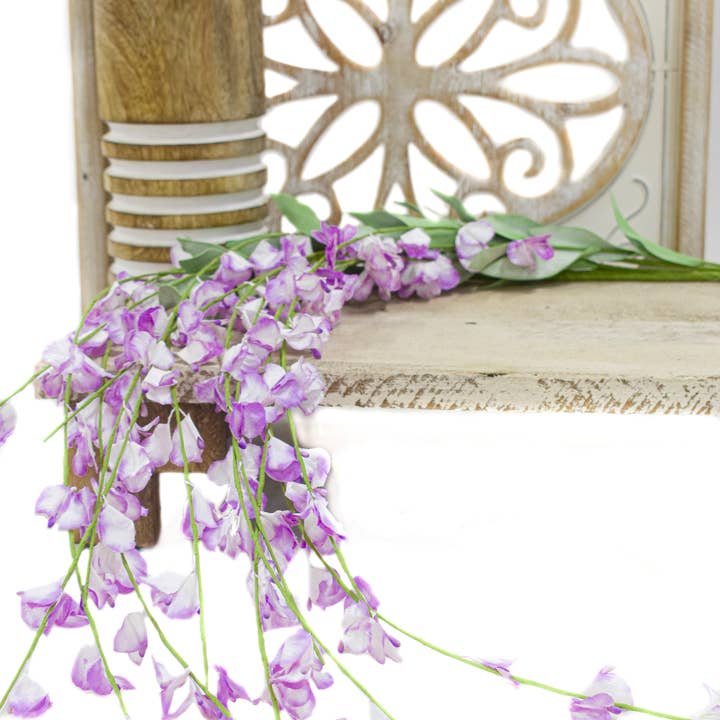 Lavender Hanging Wisteria 4ft