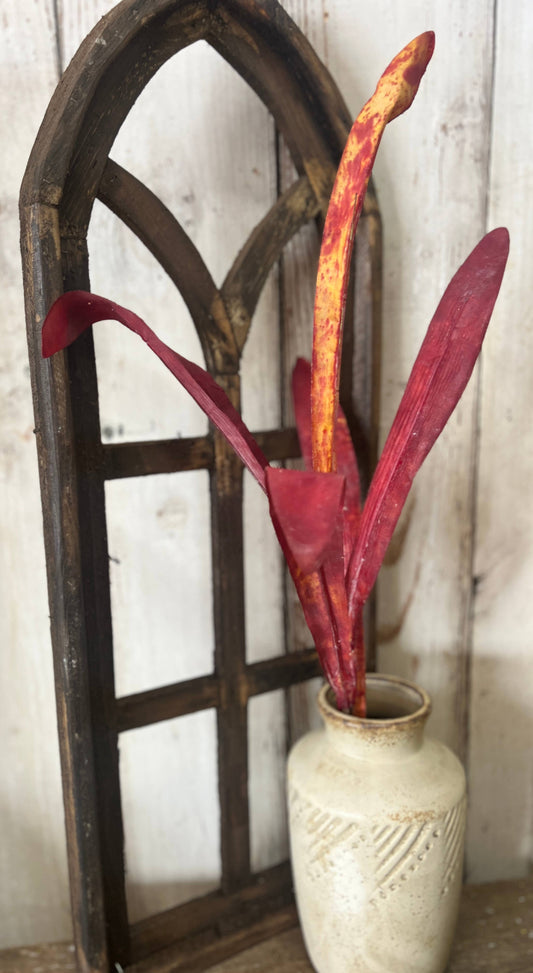 Red Palm Grass