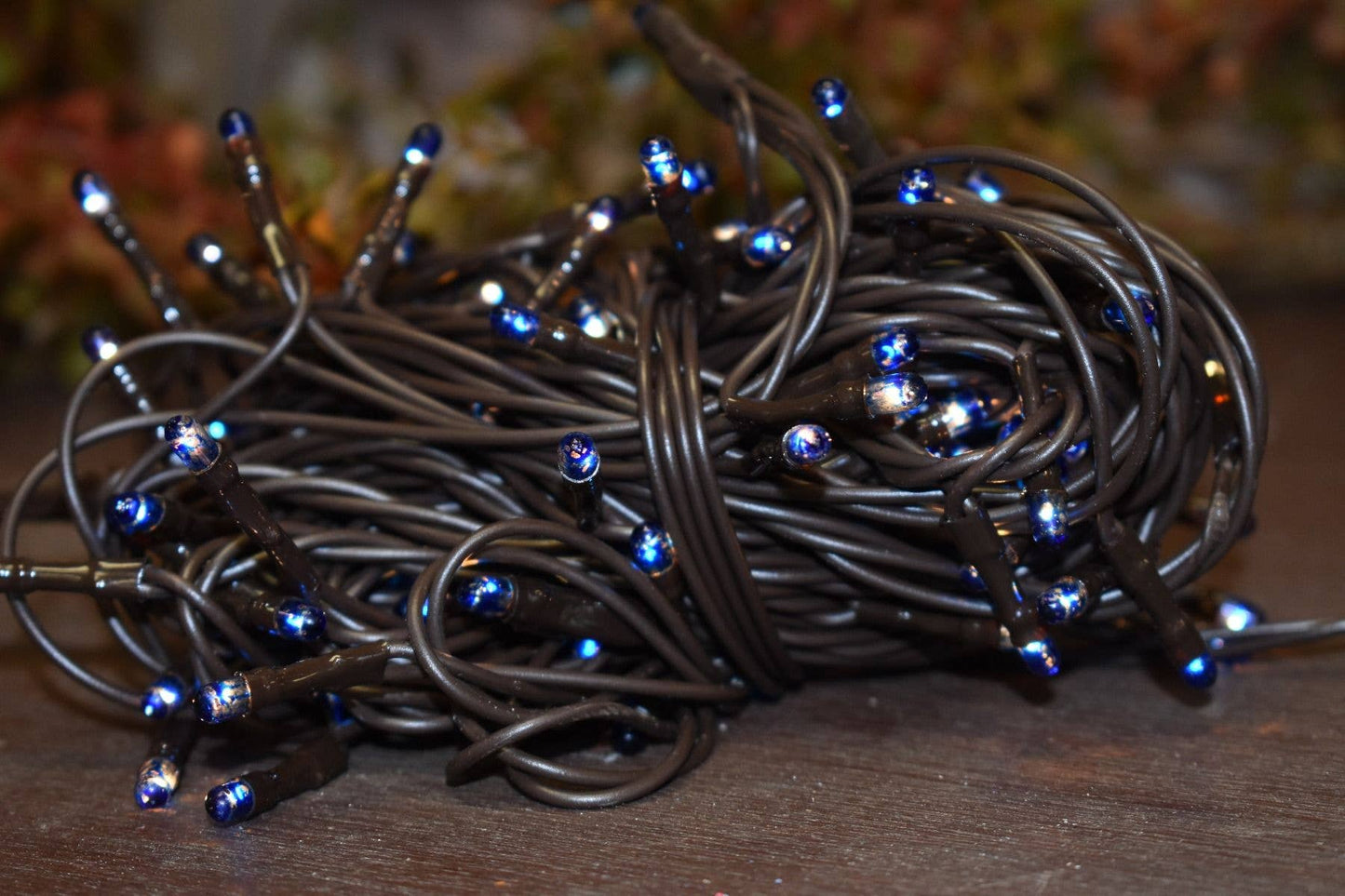 Blue 50 Bulb Primitive RICE String Lights 10ft Green Cord - Steady On