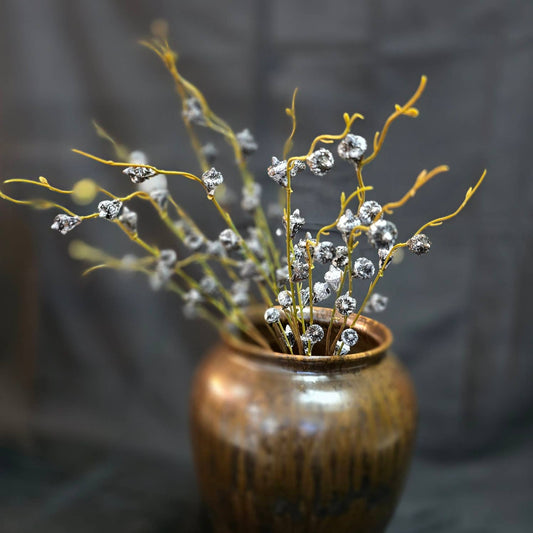 Dried Eucalyptus Stem