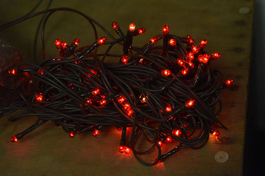 Red 35 Bulb Primitive RICE String Lights 7.5ft Green Cord - Steady On