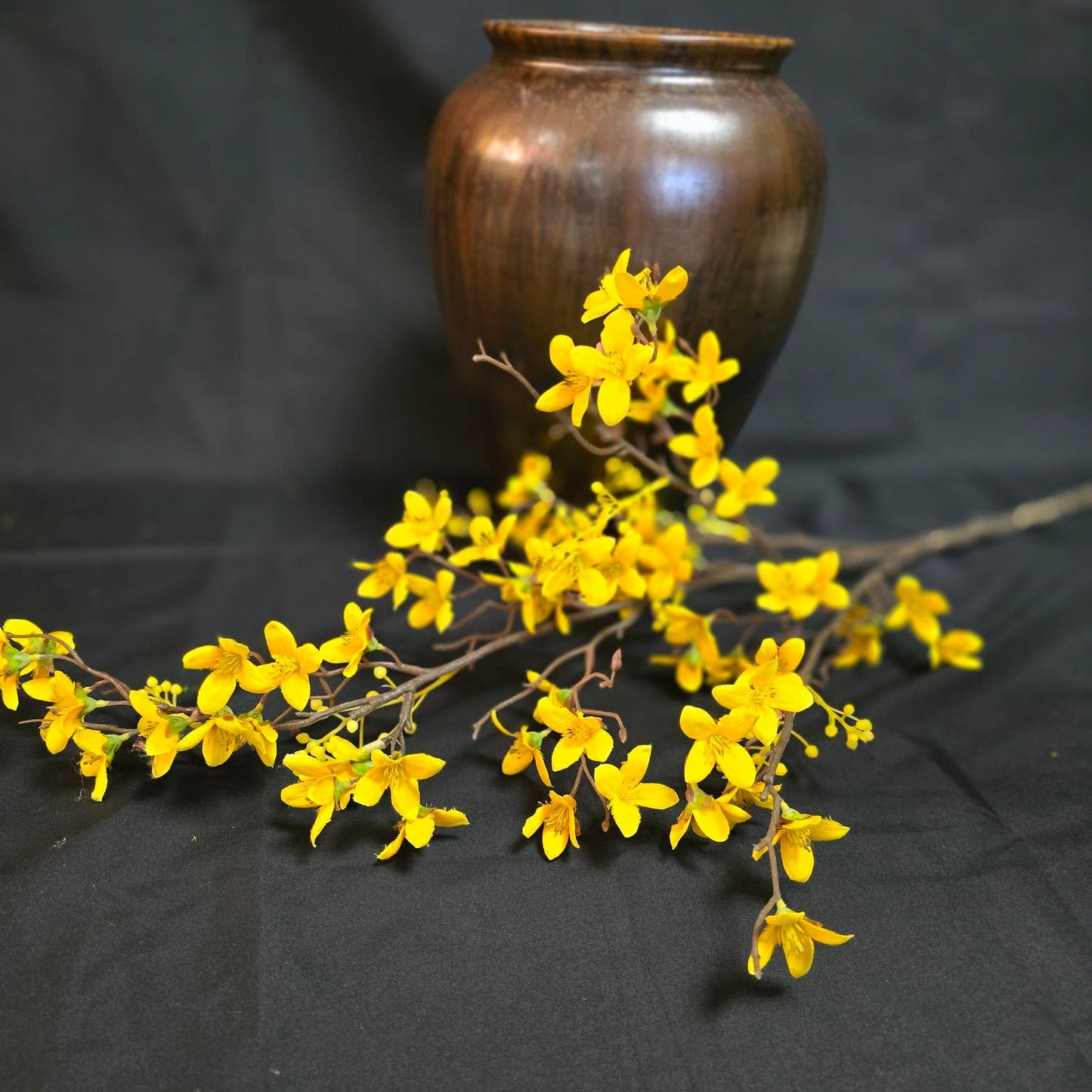 Yellow Sophora Stem