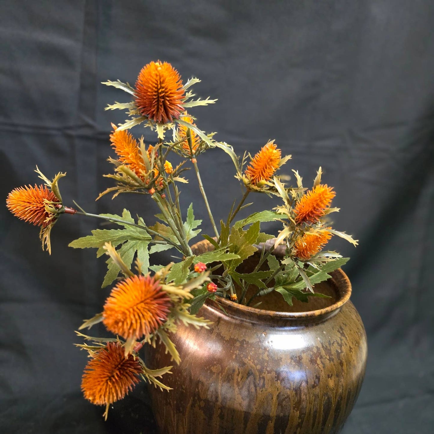 Rusty Thistle